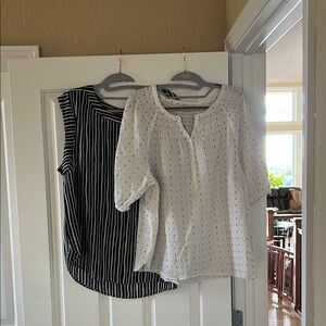 Ann Taylor Factory Black Striped and White Dotted Blouses , loft spotted blouse